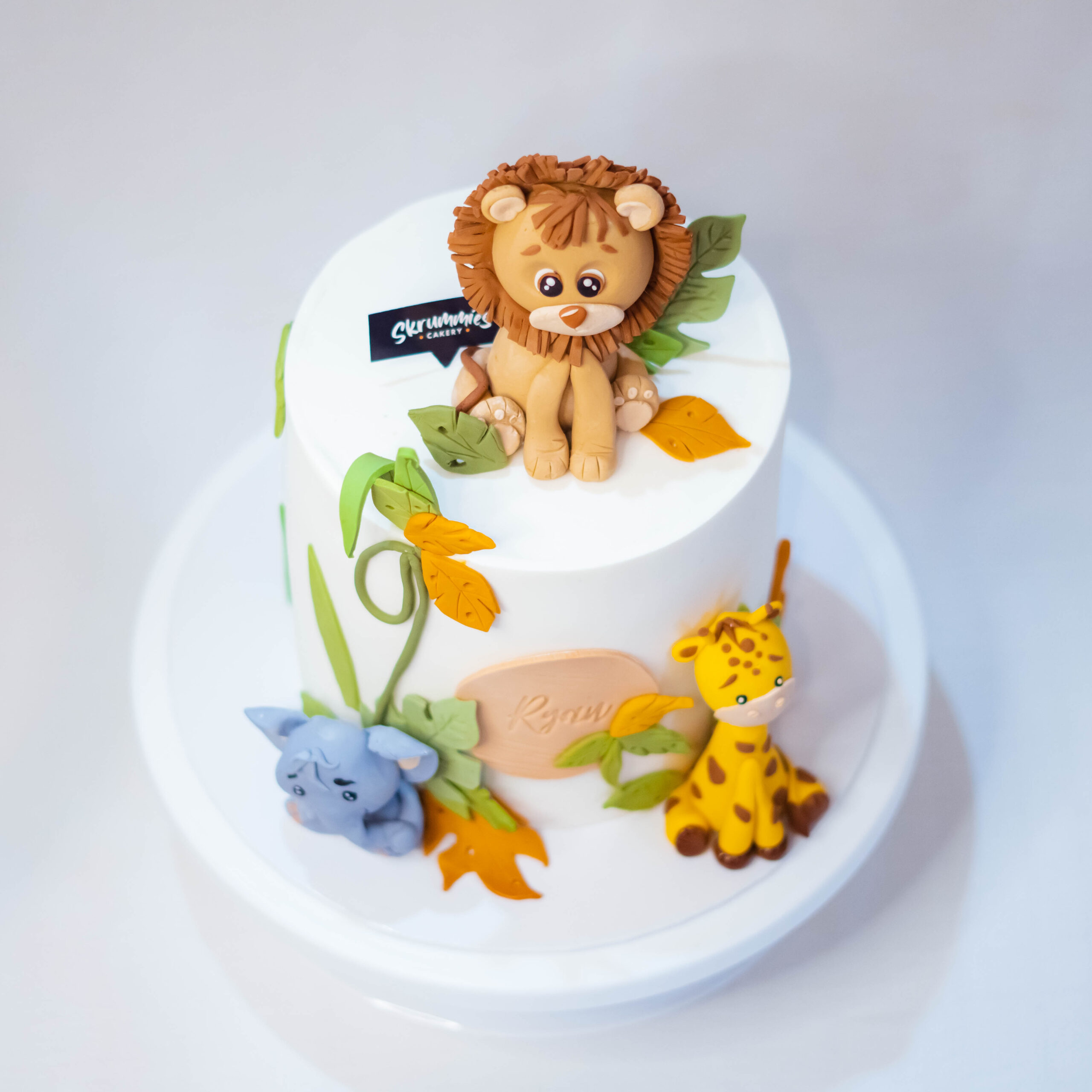 Animal Theme Fondant Birthday Cake