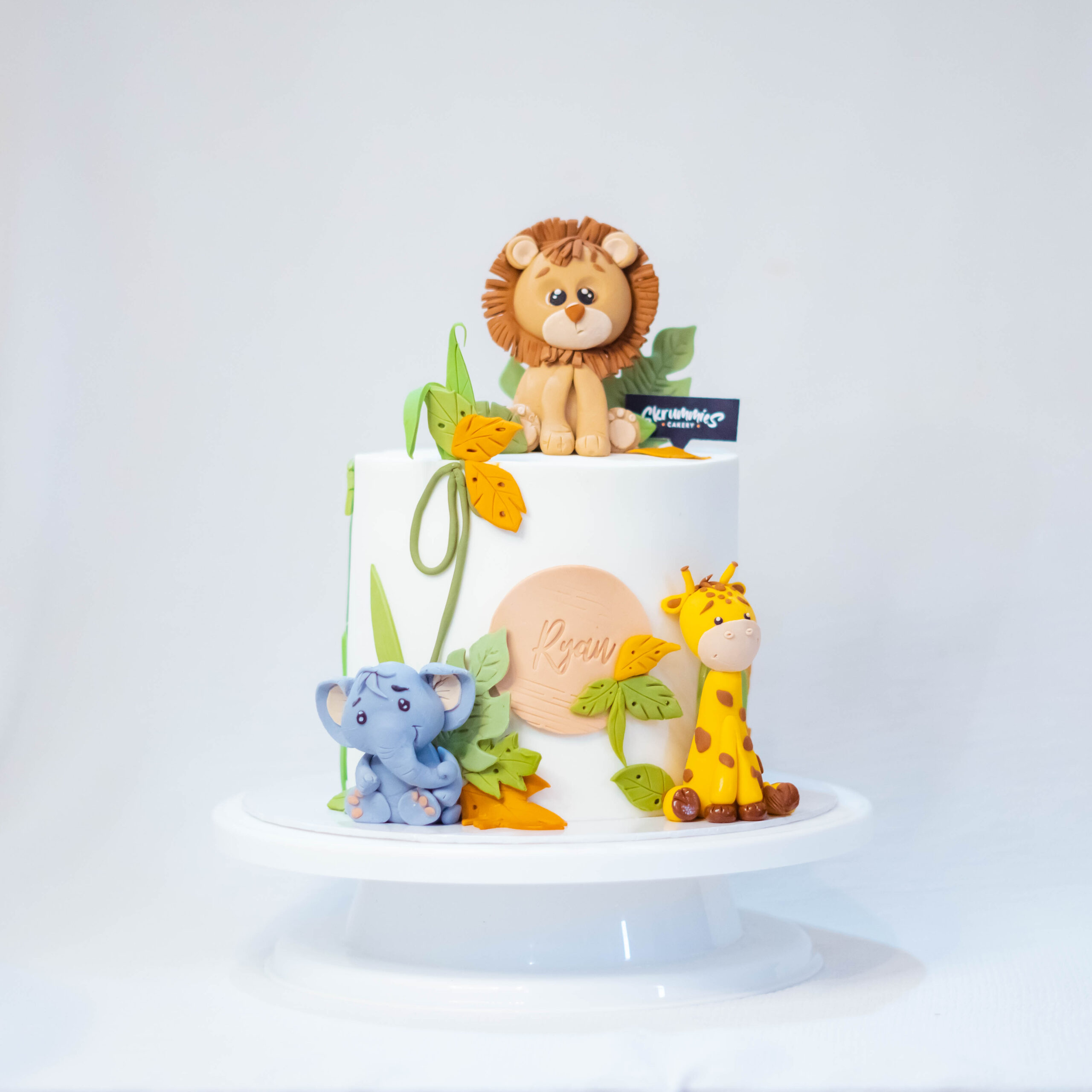 Animal Theme Fondant Birthday Cake