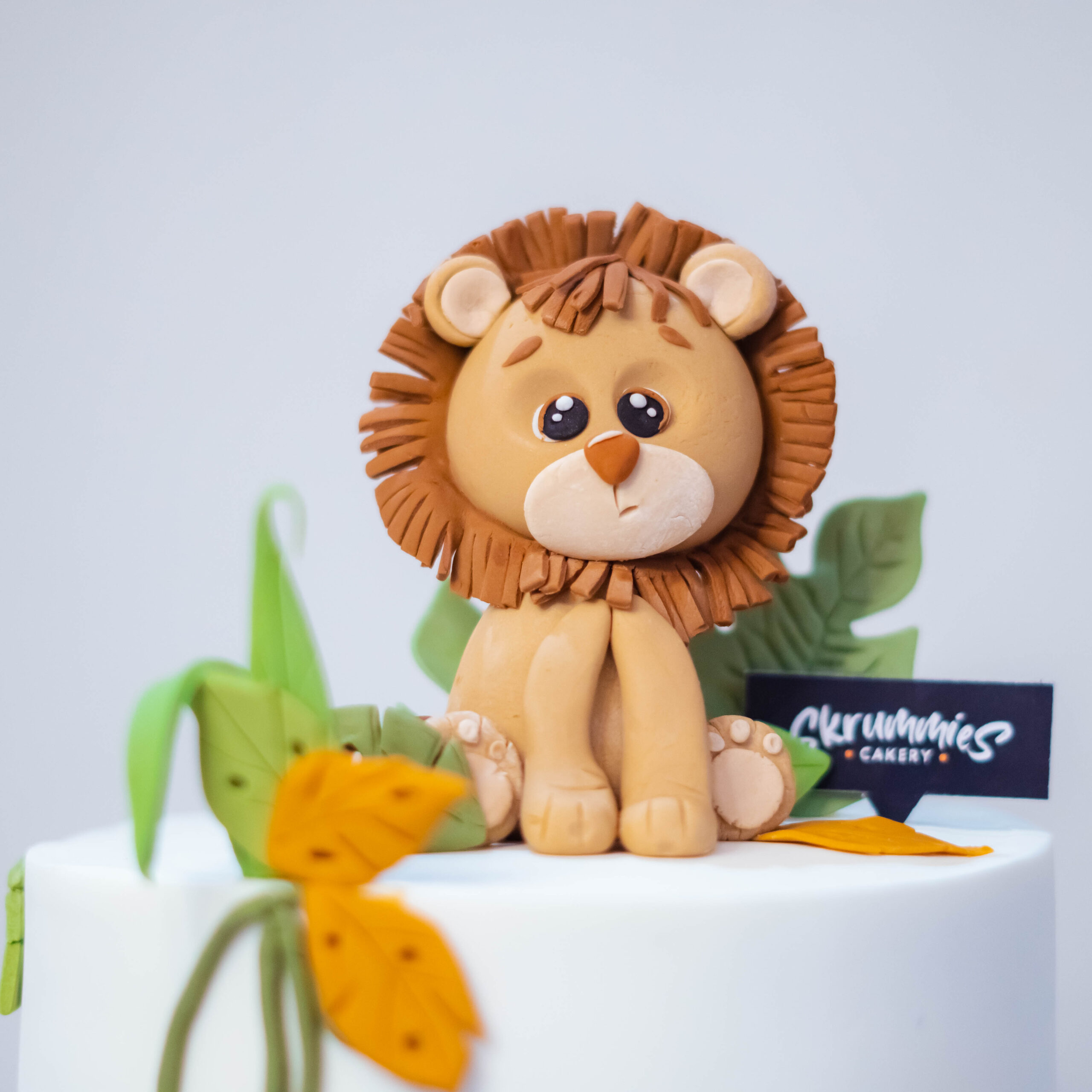 Animal Theme Fondant Birthday Cake